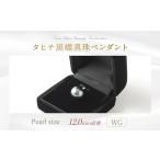 アクセサリー ペンダント タヒチ 蝶 真珠 12.0mm