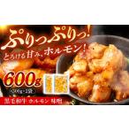 黒毛和牛ホルモン 味噌 600g