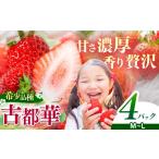 いちご 内容量 平群の古都華 S Mサイズ 2パック×2ケース