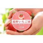 体験チケット まほらファーム いちご狩りご招待券 1名様