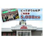 入場券 優待券 ボーリング ご利用券 5000円分