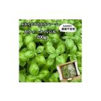 野菜類 ハーブ スウィートバジル 200g