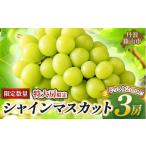 シャインマスカット 丹波篠山産 大粒