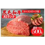 黒毛和牛 A5ランク サーロインブロック 500g