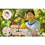 ふるさと納税 みかん�