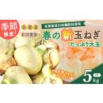 ショッピングふるさと納税 玉ねぎ ふるさと納税 野菜類 玉ねぎ 佐賀県 太良町  先行受付 牟田農園の春の新玉ねぎ たっぷり大玉〔2Lサイズ〕５kg たまねぎ タマネギ 野菜 新玉ねぎ 玉ねぎ 5kg 玉…