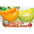 ふるさと納税 メロン メロン青肉 北海道 日高町  2026年発送 先行予約 のざわ農園 日高 赤肉メロン 2玉 めろん メロン 赤い 青い 甘い 夏 フルーツ 果実 ルピ…