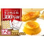 菓子 プリン 長崎 カステラぷりん deぷりん 12個入