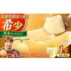 ふるさと納税 メロン 島根県 松江市  先行予約 ご縁玉 ゴールデンパールメロン1.3kg×1玉 島根県松江市／有限会社安藤農園 ALID010