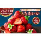ふるさと納税 いちご 栃木県 鹿沼市 鹿沼市産 とちあいか（280g×4パック） | いちご イチゴ 苺 栃木県 果物 くだもの フルーツ とちあいか 新鮮 贈答 ギフト …