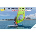 入場券 優待券 ウインドサーフィン or ウイングフォイル