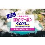 宿泊券 温泉 9 000円分