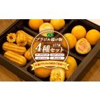 惣菜 レトルト 冷凍 ブラジル揚げもの4種セット