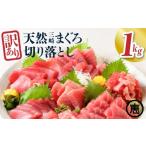 ふるさと納税 マグロ 神奈川県 三浦市  訳あり 天然三崎まぐろ 1kg たっぷり10人分 不揃い赤身 2026年2月お届け 　M020-013-02 (6)2026年2月お届け