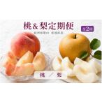 かつらぎ町のフルーツ定期便 桃 梨