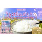ひのひかり 米 お米 白米 10kg