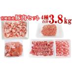 ふるさと納税 豚肉 ロース 宮崎県 西都市 宮崎県産豚肉 4種 3.8kgセット 小分け 14パック バラ切り落とし ロース 切り落とし ミンチ 2.3-5 　　