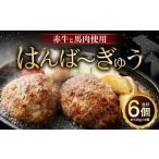 肉 ハンバーグ 令和8年度熊本地震復興支援