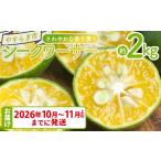 ふるさと納税 みかん・柑橘類 高知県 香南市  2026年10月〜11月上旬までに発送 さわやかな香り漂うシークワーサー 2kg - 国産 シークヮーサー 果物 フルーツ …