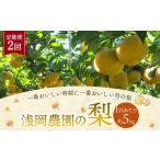 ショッピングふるさと納税 梨 ふるさと納税 梨 大分県 九重町 浅岡農園の梨 約5kg 梨 なし ナシ くだもの 果物 フルーツ 果実 和梨 豊水 秋月 新高 甘太 大分県 九重町 2回定期便 2026年9月…