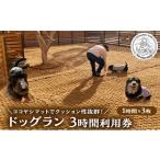 イベントやチケット等 MARUMARUDOGS