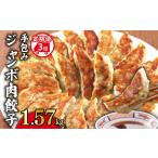 餃子 餃子定期便 3回 手包み ジャンボ 肉餃子 45個