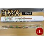野菜類 自然薯 約1kg