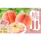 ふるさと納税 もも 福岡県 うきは市 桃 （ 日川白鳳 ・ あかつき ） 約2kg （ 6ー9玉） 2026年7月上旬ー8月上旬発送予定 　 もも モモ フルーツ 果物 くだもの…