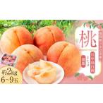 ふるさと納税 もも 福岡県 うきは市 桃 （ 嶺鳳 ・ 川中島白桃 ） 約2kg （ 6ー9玉） 2026年7月上旬ー8月上旬発送予定 　 もも モモ フルーツ 果物 くだもの …