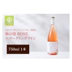 ふるさと納税 ワイン スパークリングワイン 石川県 羽咋市 数量限定 スパークリングワイン ヴィンテージ 750ml 海の泡 2024 ROSE 海に近い 圃場 ワイン ロゼ I…