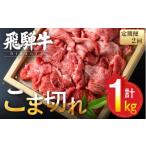 牛肉 炒め物 2回定期便 訳あり 飛騨牛 こま切れ 1kg