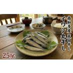 干物 イワシ 篠島産 訳あり いわしの丸干し 25尾