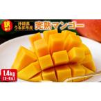 ショッピングふるさと納税 マンゴー ふるさと納税 マンゴー 沖縄県 うるま市 沖縄県 うるま市産 完熟 マンゴー 訳あり品 1.4kg 2026年発送