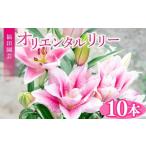 花 ユリ オリエンタルリリー 10本セット
