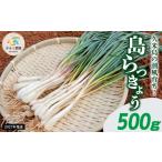 野菜類 2027年発送 久米島の潮風育ち