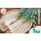 野菜類 2027年発送 久米島の潮風育ち