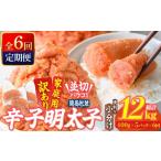 魚貝類 定期便 全6回 連続 訳あり 辛子明太子