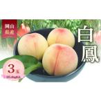 ふるさと納税 もも 岡山県 赤磐市 桃 2026年 数量限定 白鳳 3玉 計1.0kg以上 岡山県 赤磐市産