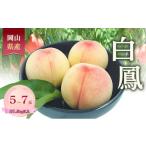 ふるさと納税 もも 岡山県 赤磐市 桃 2026年 数量限定 白鳳 5-7玉 計1.5kg以上 岡山県 赤磐市産