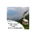 入場券 優待券 中央アルプス駒ヶ岳ロープウェイ
