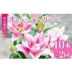 花 定期便2回 ユリ オリエンタルリリー 10本