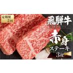 牛肉 ステーキ 2回定期便 飛騨牛 赤身 3枚