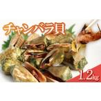 魚貝類 チャンバラ貝 約1.2kg