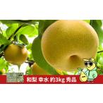 ショッピングふるさと納税 梨 ふるさと納税 梨 新潟県 三条市 先行予約 和梨 幸水 約3kg 秀品 令和8年度 冷蔵 新潟フルーツ 新潟県産 梨 三条ファームWIN 011S330
