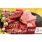 牛肉 焼肉 バーベキュー 定期便 訳あり 飛騨牛