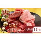 牛肉 焼肉 バーベキュー 定期便 訳あり 飛騨牛