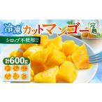 ショッピングふるさと納税 マンゴー ふるさと納税 マンゴー 宮崎県 日南市 冷凍 カット マンゴー 計600g フルーツ 果物 くだもの 完熟マンゴー 小分け おすすめ おやつ デザート 贅沢 スムージー …