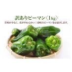 野菜類 訳ありピーマン 1kg