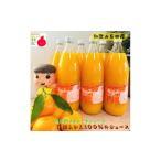 有田みかん100%のジュース1 000ml×2本セット