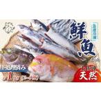 旬の鮮魚等 冷凍魚 セット 1kg
